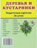 Раздаточные карточки "Деревья и кустарники" - fgospostavki.ru - Иркутск