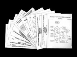 Комплект таблиц для 9-11 классов "Валеология и органическая химия" Комплект 2 - fgospostavki.ru - Иркутск