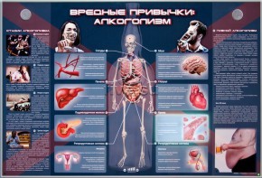 Электрифицированный стенд "Вредные привычки: алкоголизм" - fgospostavki.ru - Иркутск