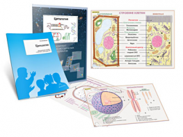 Комплект кодотранспарантов "Цитология" - fgospostavki.ru - Иркутск