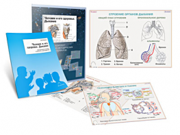 Комплект кодотранспарантов "Человек и его здоровье. Дыхание" - fgospostavki.ru - Иркутск