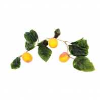 Ветка муляжей "Абрикосы" - fgospostavki.ru - Иркутск