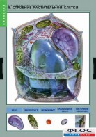 Комплект таблиц. Биология. Вещества растений. Клеточное строение. - fgospostavki.ru - Иркутск