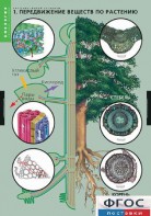 Комплект таблиц. Биология. Растение – живой организм. - fgospostavki.ru - Иркутск