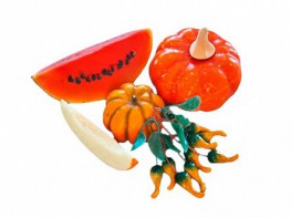 Набор муляжей "Бахчевые культуры" - fgospostavki.ru - Иркутск