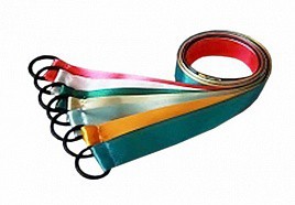 Лента гимнастическая на кольце (0,25 метра) - fgospostavki.ru - Иркутск