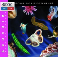 Биология. Микрофотографии. (Цифровая база изображений) - fgospostavki.ru - Иркутск