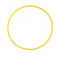 Обруч гимнастический (пластик, 800 миллиметров) - fgospostavki.ru - Иркутск