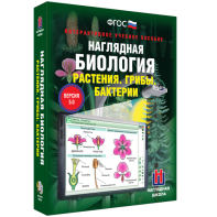 Наглядная биология. 6 класс. Растения. Грибы. Бактерии - fgospostavki.ru - Иркутск