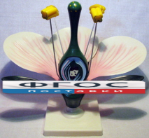 Модель "Цветок яблони" - fgospostavki.ru - Иркутск