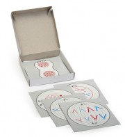 Модель-аппликация "Деление клетки" (набор из 5 карт) - fgospostavki.ru - Иркутск