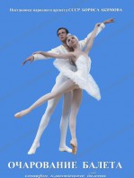 DVD "Очарование балета" - fgospostavki.ru - Иркутск