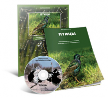 Электронное наглядное пособие «Птицы» - fgospostavki.ru - Иркутск