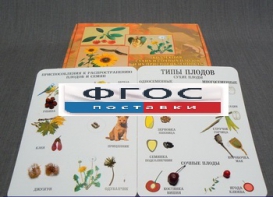 Коллекция "Семена и плоды" - fgospostavki.ru - Иркутск