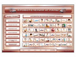 Трехсекционный базовый комплект "Травмы. Кровотечения. Ожоги" для учащихся общеобразовательных учреждений - fgospostavki.ru - Иркутск