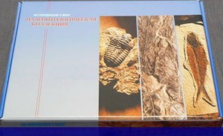 Коллекция "Палеонтологическая" (16 образцов) - fgospostavki.ru - Иркутск