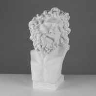 Бюст Лаокоона (гипс) - fgospostavki.ru - Иркутск