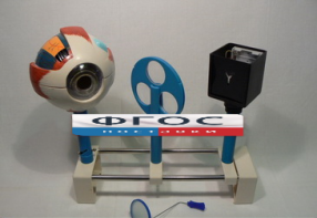 Модель "Зрение" (на батарейках) - fgospostavki.ru - Иркутск