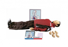 "Максим III-01" тренажер сердечно-легочной и мозговой реанимации - fgospostavki.ru - Иркутск