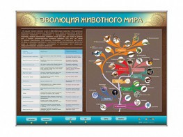 Интерактивный электрифицированный стенд "Эволюция животного мира" - fgospostavki.ru - Иркутск