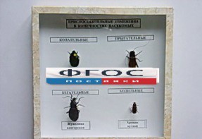 Коллекция энтомологическая "Приспособительные изменения в конечностях насекомых" - fgospostavki.ru - Иркутск