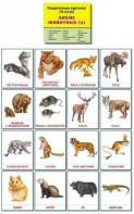 Раздаточные карточки "Дикие животные (2)" - fgospostavki.ru - Иркутск