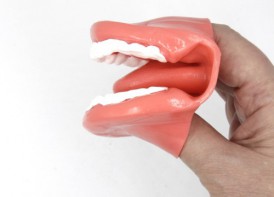 Муляж рта (мини) - fgospostavki.ru - Иркутск