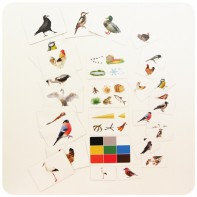 Набор магнитных карточек "Загадки-отрицания". Птицы - fgospostavki.ru - Иркутск