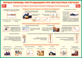 Таблица "Общий порядок оказания первой помощи пострадавшим" (100х140 сантиметров, винил) - fgospostavki.ru - Иркутск