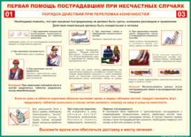 Таблица "Порядок действий при переломах конечностей" (100х140 сантиметров, винил) - fgospostavki.ru - Иркутск