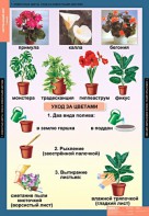 Комплект таблиц. Окружающий мир 1 класс. - fgospostavki.ru - Иркутск