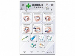 Интерактивный стенд "Живые зубки" - fgospostavki.ru - Иркутск