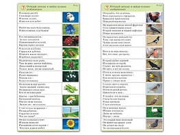 Комплект карточек (10) "Обучающий калейдоскоп. Природа" - fgospostavki.ru - Иркутск