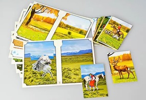 Настольно-печатная игра "Вокруг света" - fgospostavki.ru - Иркутск