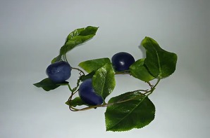 Ветка муляжей "Слива" - fgospostavki.ru - Иркутск