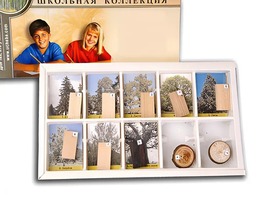 Коллекция "Древесные растения и их распространение" (раздаточная) - fgospostavki.ru - Иркутск
