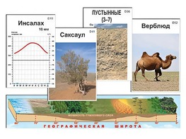 Модель-аппликация "Природные зоны" - fgospostavki.ru - Иркутск