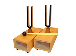 Камертоны на резонансных ящиках (пара) - fgospostavki.ru - Иркутск