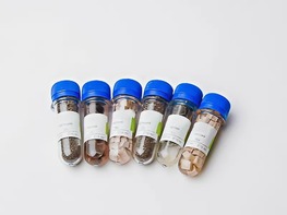 Набор № 6 ОС Щелочные и щелочноземельные металлы - fgospostavki.ru - Иркутск