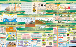 Комплект таблиц "Экология (9 листов)" (100х140 сантиметров, винил) - fgospostavki.ru - Иркутск