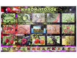 Комплект оборудования "Живой уголок" (растения) с тифлопереводом и сурдокомментариями - fgospostavki.ru - Иркутск