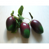 Ветка муляжей "Манго" - fgospostavki.ru - Иркутск