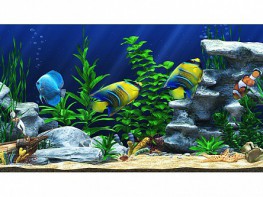 Интерактивный аттракционный комплекс "Водный мир" - fgospostavki.ru - Иркутск