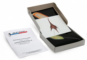 Модель-аппликация "Одноклеточные водоросли" (набор из 24 карт) - fgospostavki.ru - Иркутск