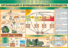 Таблица "Организация и функционирование сообществ" (100х140 сантиметров, винил) - fgospostavki.ru - Иркутск