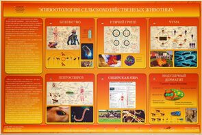 Электрифицированный стенд «Эпизоотология сельскохозяйственных животных» - fgospostavki.ru - Иркутск
