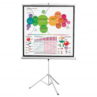 Экран на штативе DSKD-1104 - fgospostavki.ru - Иркутск