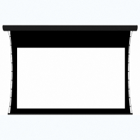 Экран настенный с электроприводом DSTPX-16916 - fgospostavki.ru - Иркутск