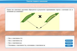 Интерактивные курсы. Биология 11 класс. Базовый. - fgospostavki.ru - Иркутск