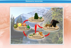 Интерактивные курсы. Биология 7 класс. Базовый. - fgospostavki.ru - Иркутск